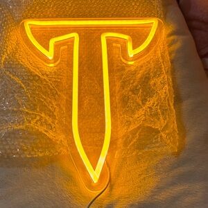 Light up LED Neon T